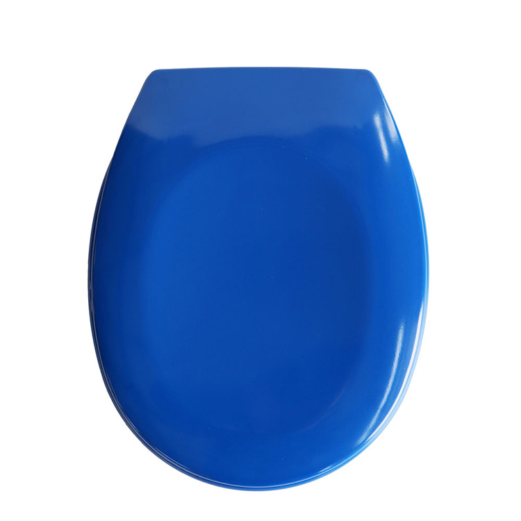 Colorful Blue Purple Toilet Seat