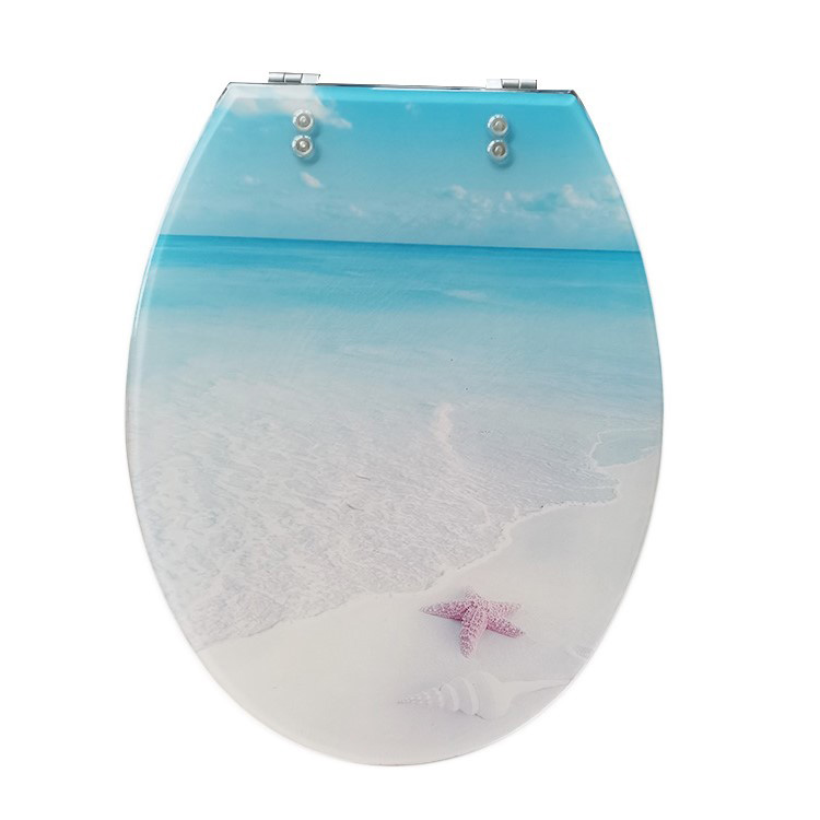 Resin Elongated Toilet Seat