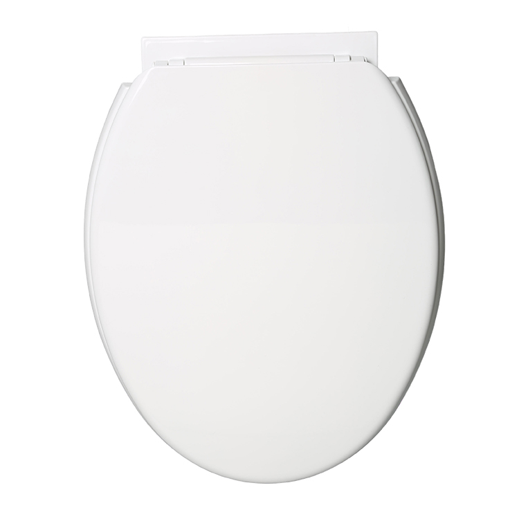 Toilet Seat Plastic