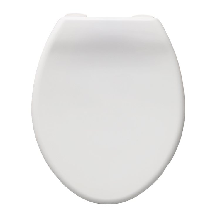 White Plastic Toilet Seat